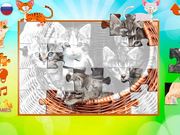 Kittens Puzzles