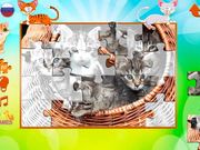 Kittens Puzzles