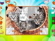 Kittens Puzzles