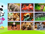 Puzzles: Zoo