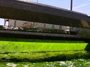 Algae Fuel Research and Development Facility