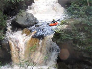 Summer 2014 Highlights