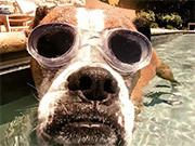 Summertime/Pool Time