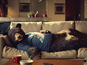 Virgin Campaign: Sofa Bear