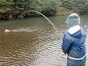 Teaching Eden to Fly Fish