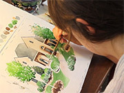 Summer in the Studio