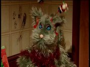 Pets plus extras Christmas