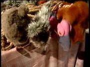 Pets plus extras Christmas