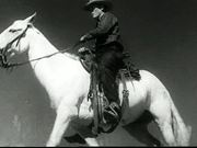 Western Cattle Sequence