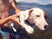 Wilson | Episode One