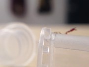 Pseudoscorpion