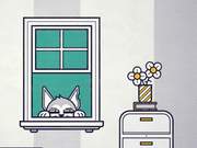 Ami Campaign: Unknown Cat