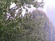 Wind and Rain
