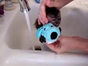 Baby Monkey Nala Gets a Bath