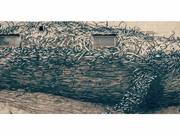 DALeast - Discount Evolution