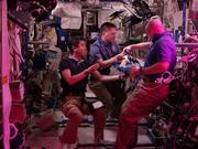 Astronauts Grow Lettuce