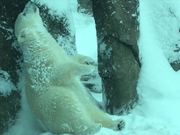 First Snow Day Of 2017