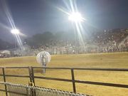 Inflatable Bubbles Bull Toss