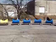 The Dog Train