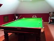 3 Year Old Pool Shark