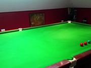 3 Year Old Pool Shark