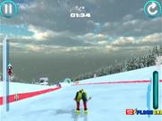 Alpine Ski Master Walkthrough