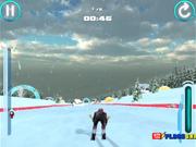 Alpine Ski Master Walkthrough