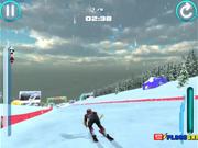 Alpine Ski Master Walkthrough