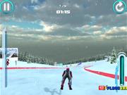 Alpine Ski Master Walkthrough