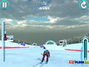 Alpine Ski Master Walkthrough