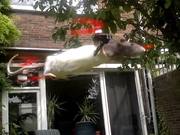 Flying Rat Copter