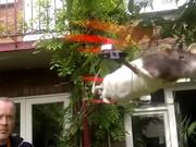 Flying Rat Copter