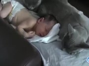 Cats Loving Babies